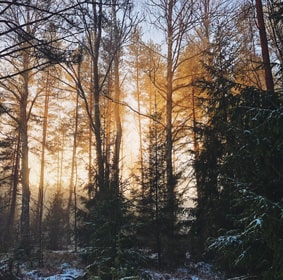 Books typewriter right 2